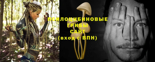 первитин Армянск