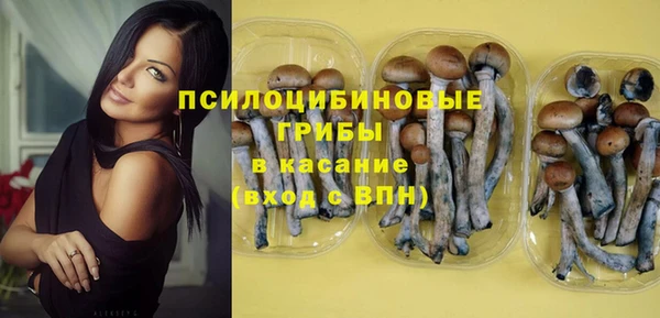 apvp Арсеньев