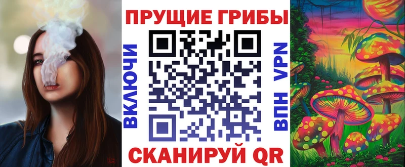 цена   Ртищево  Псилоцибиновые грибы ЛСД 